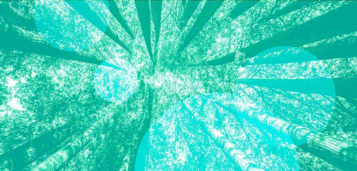 Recap: DesignMeets...design and the circular economy II