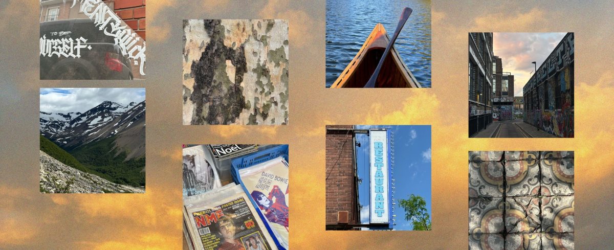 The radical practice of looking up