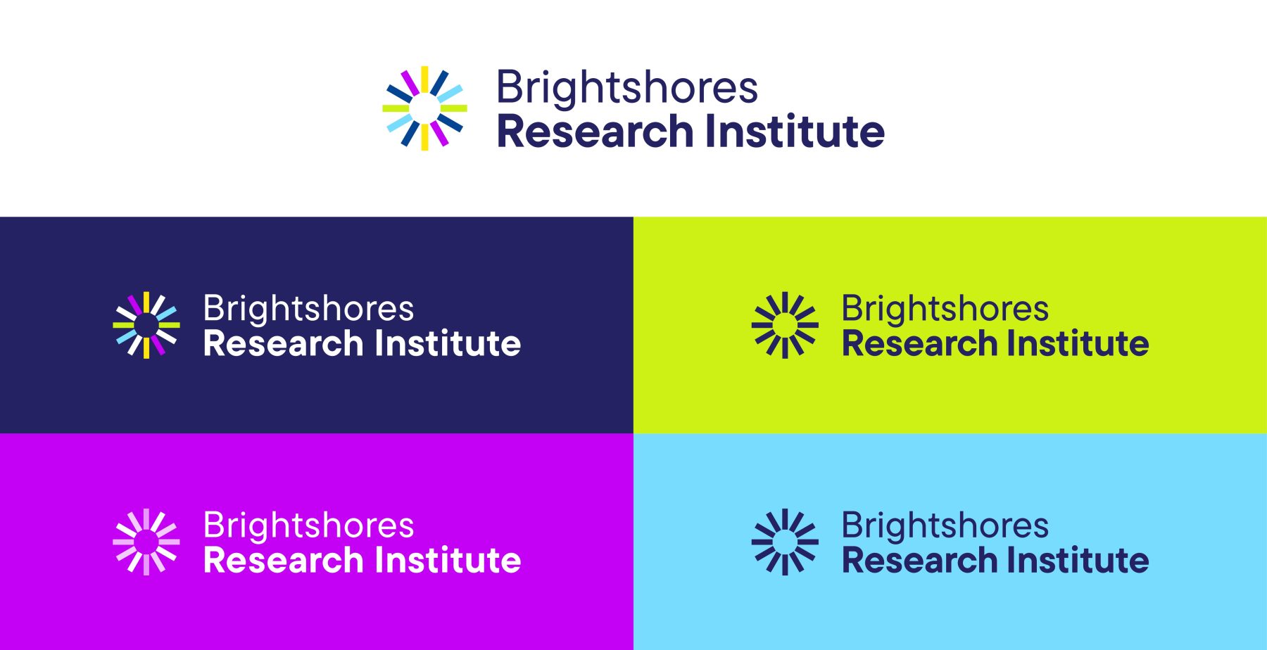 BRI final logos horizontal
