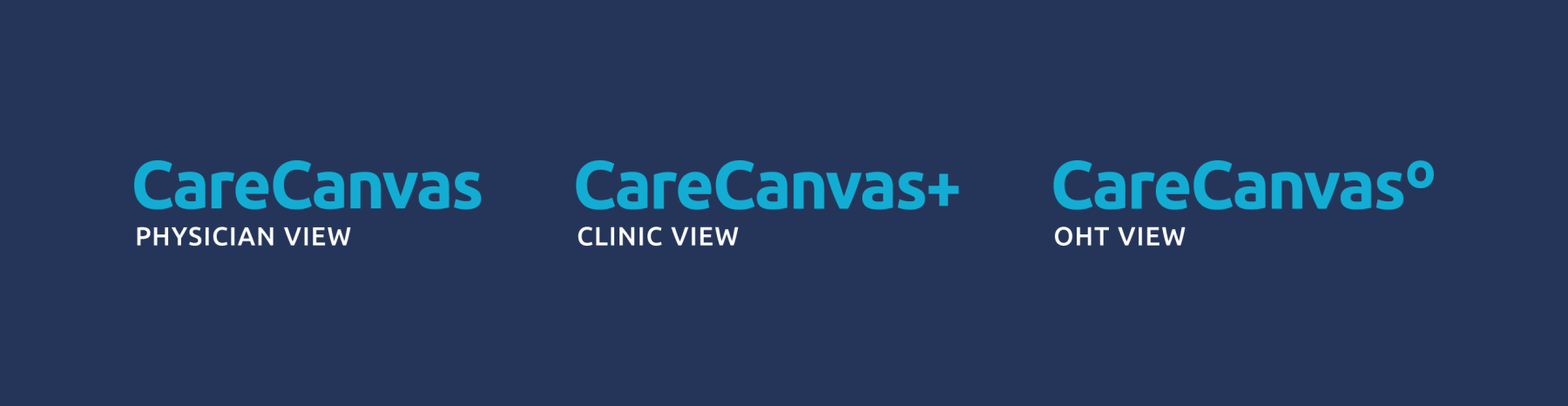 Care Canvas Wordmark