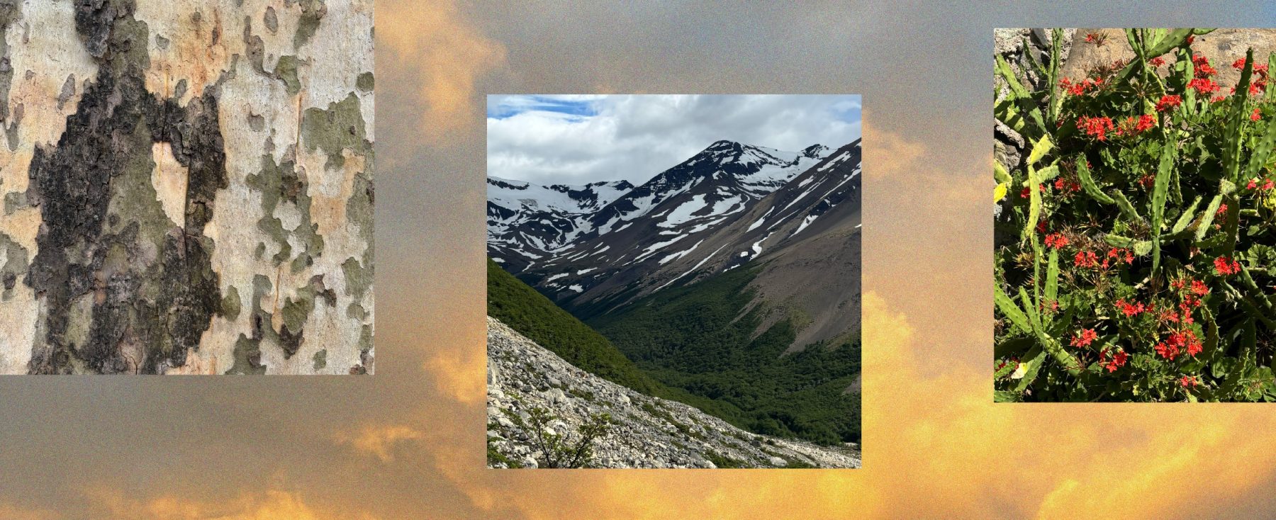 Imagery 3
