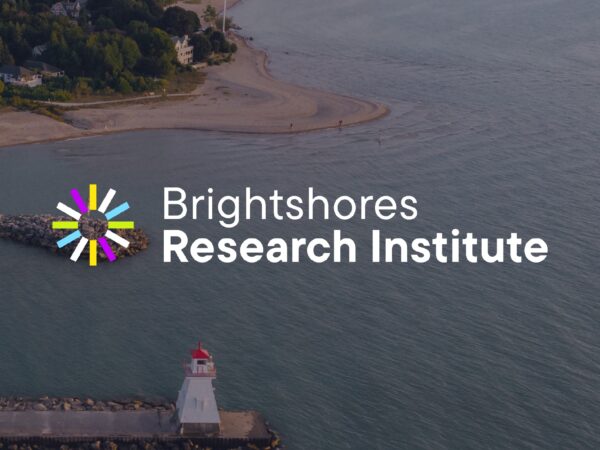 Brightshores Research Institute