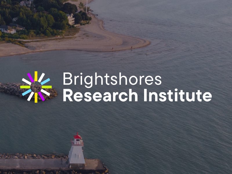 Brightshores Research Institute