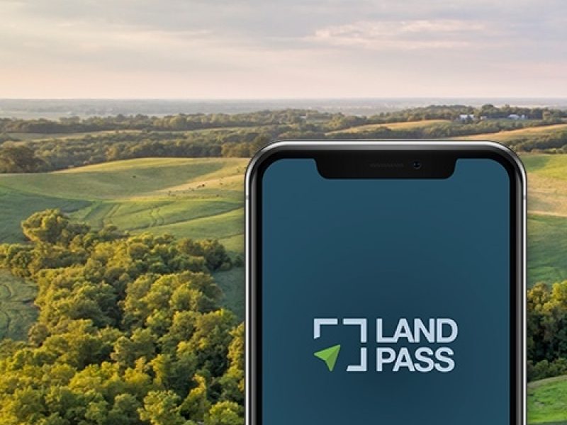 LandPass, Rigel Properties Inc.