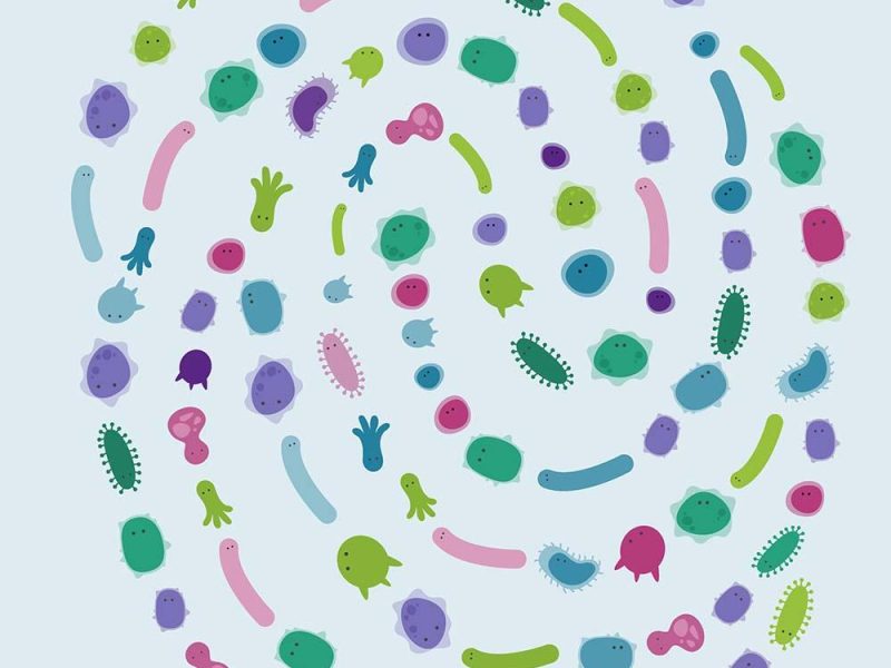 Canadian Digestive Health Foundation