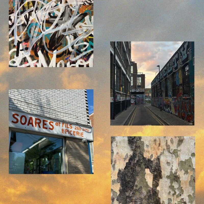 The radical practice of looking up